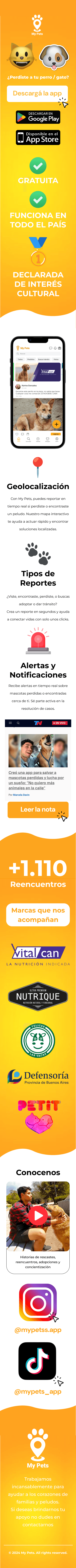 Sitio web (mobile)