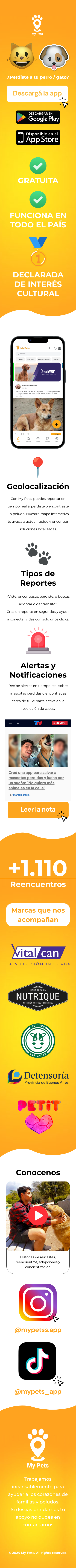 Sitio web (mobile)